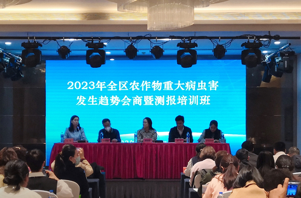 图片_05.jpg