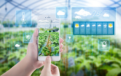 农作物重大病虫害监测预警系统