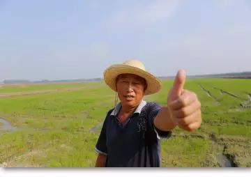 微信图片_20180524103648.jpg
