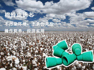 谷瑞特绿色植保服务产品:棉铃虫诱芯 谷瑞特绿色植保服务产品:棉铃虫诱芯