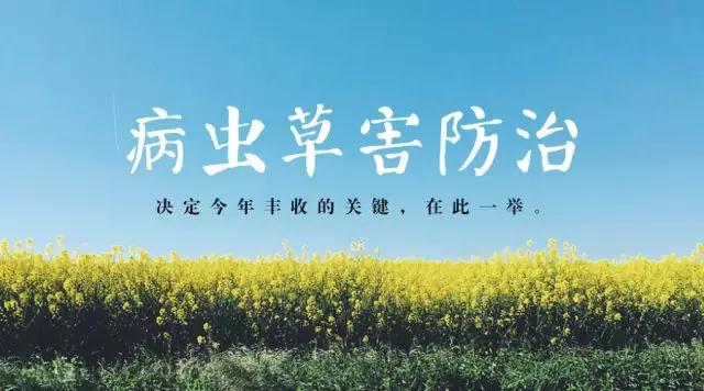 微信图片_20180524183943.jpg