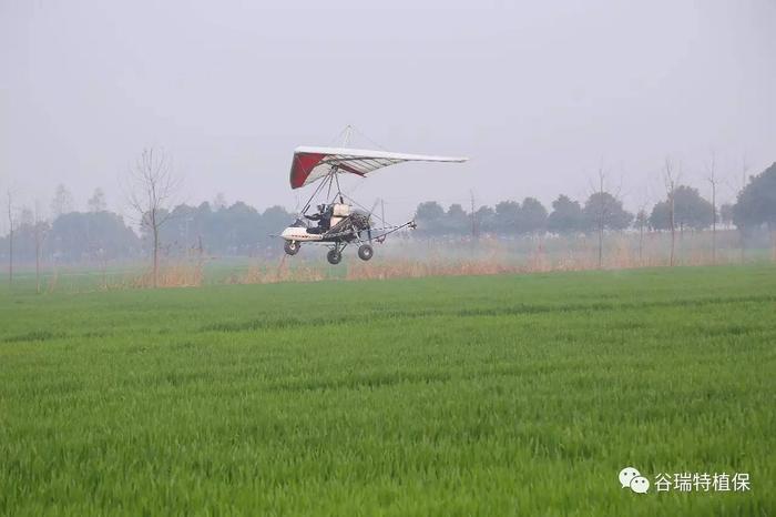 谷瑞特植保提醒:小麦“一喷三防”,你准备好了吗? 谷瑞特植保提醒:小麦“一喷三防”,你准备好了吗?