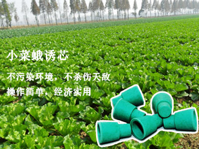谷瑞特绿色植保服务产品:小菜蛾诱芯 谷瑞特绿色植保服务产品:小菜蛾诱芯