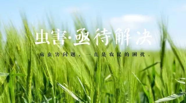 微信图片_20180524184009.jpg
