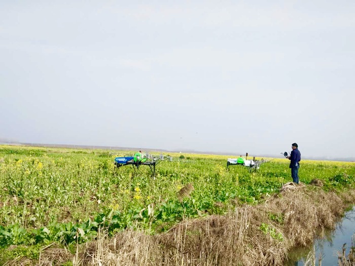 谷瑞特植保设备“地虎”走进油菜园 谷瑞特植保设备“地虎”走进油菜园