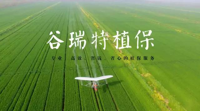 微信图片_20180524154155.jpg