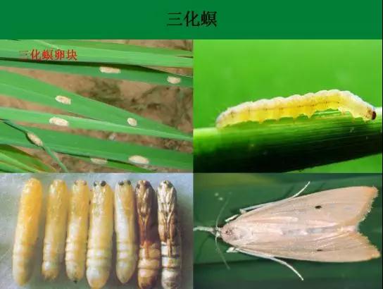 微信图片_20180524181648.jpg