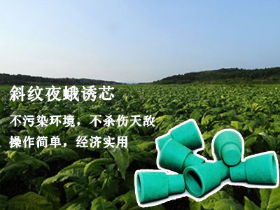 谷瑞特绿色植保服务产品:斜纹夜蛾诱芯 谷瑞特绿色植保服务产品:斜纹夜蛾诱芯