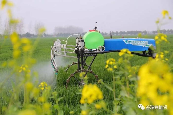 谷瑞特植保提醒:小麦“一喷三防”,你准备好了吗? 谷瑞特植保提醒:小麦“一喷三防”,你准备好了吗?