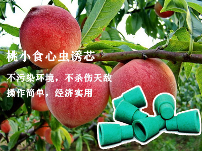 谷瑞特绿色植保服务产品:桃小食心虫诱芯 谷瑞特绿色植保服务产品:桃小食心虫诱芯