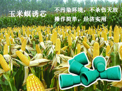 谷瑞特绿色植保服务产品:玉米螟诱芯 谷瑞特绿色植保服务产品:玉米螟诱芯