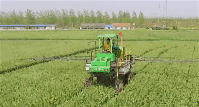 微信图片_20180524153850.gif