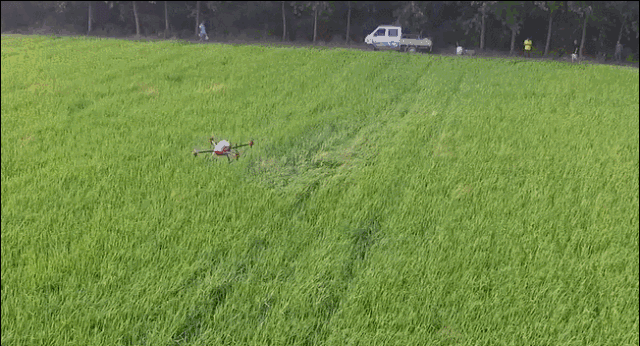 微信图片_20180524153735.gif