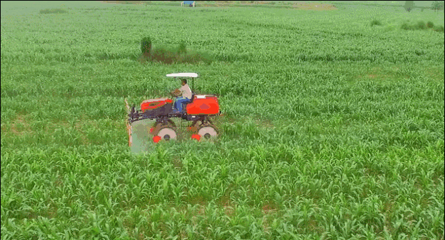 微信图片_20180524154134.gif