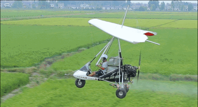 微信图片_20180524153616.gif