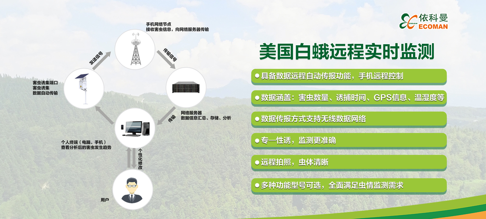 美国白蛾智能监测系统-2.jpg