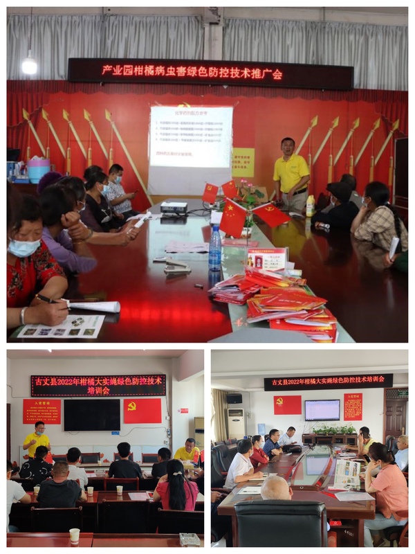图片5.jpg
