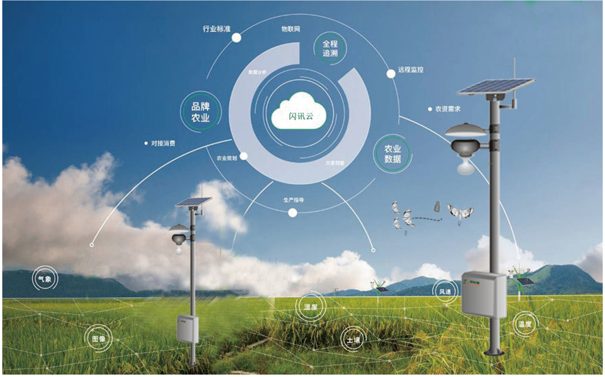 草地贪夜蛾"卷土重来",智能监测看这里