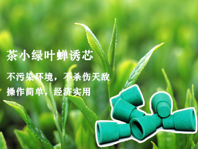 谷瑞特绿色植保服务产品：茶小绿叶蝉诱芯