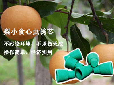 谷瑞特绿色植保服务产品:梨小食心虫诱芯 谷瑞特绿色植保服务产品:梨小食心虫诱芯