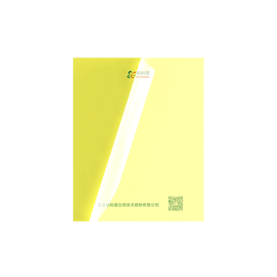 瓜实蝇黄色粘虫板