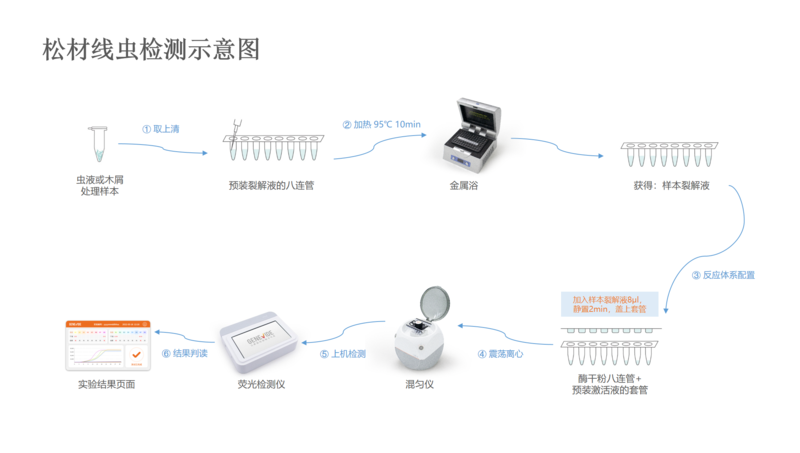 松材线虫检测示意图.png